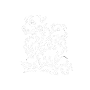 Hickory Hill English Shepherds Logo